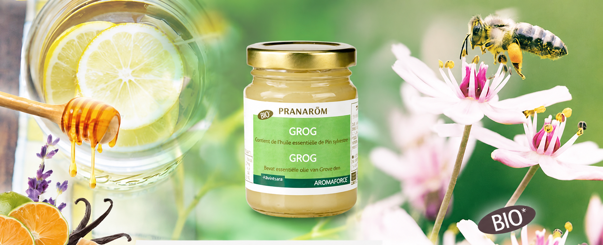 【みーさま】PRANAROM おまとめ7点セット プラナロム 精油 はちみつ – プラナロム エッセンシャルオイル・精油｜健草医学舎